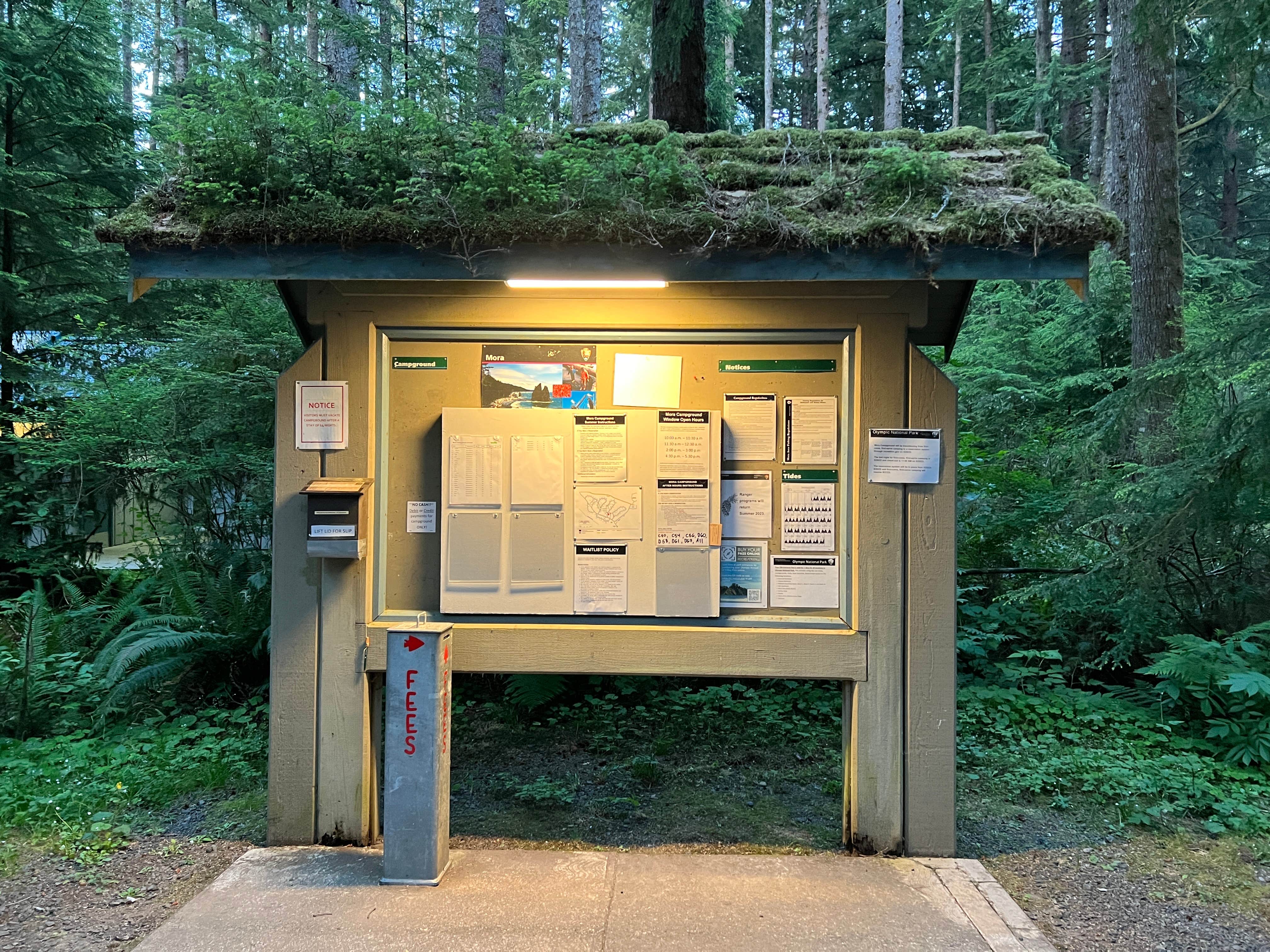 Chris N.'s photo of glamping accommodations at Mora Campground — Olympic National Park near Sekiu, WA