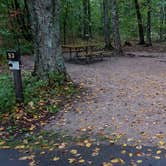 Review photo of Lafayette Place Campground — Franconia Notch State Park by Jean C., October 15, 2018