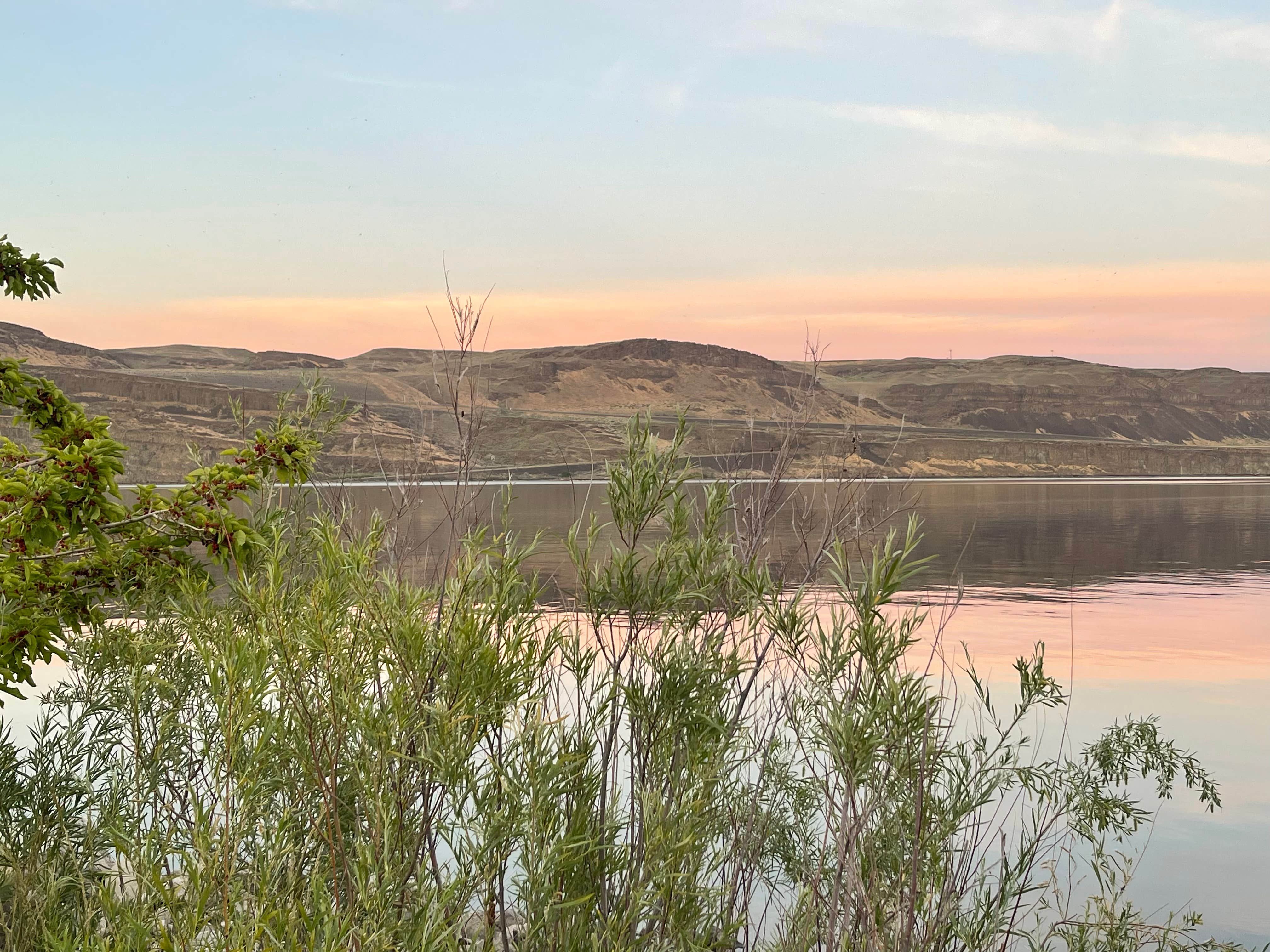 Camper submitted image from Rocky Coulee Recreation Area - 3