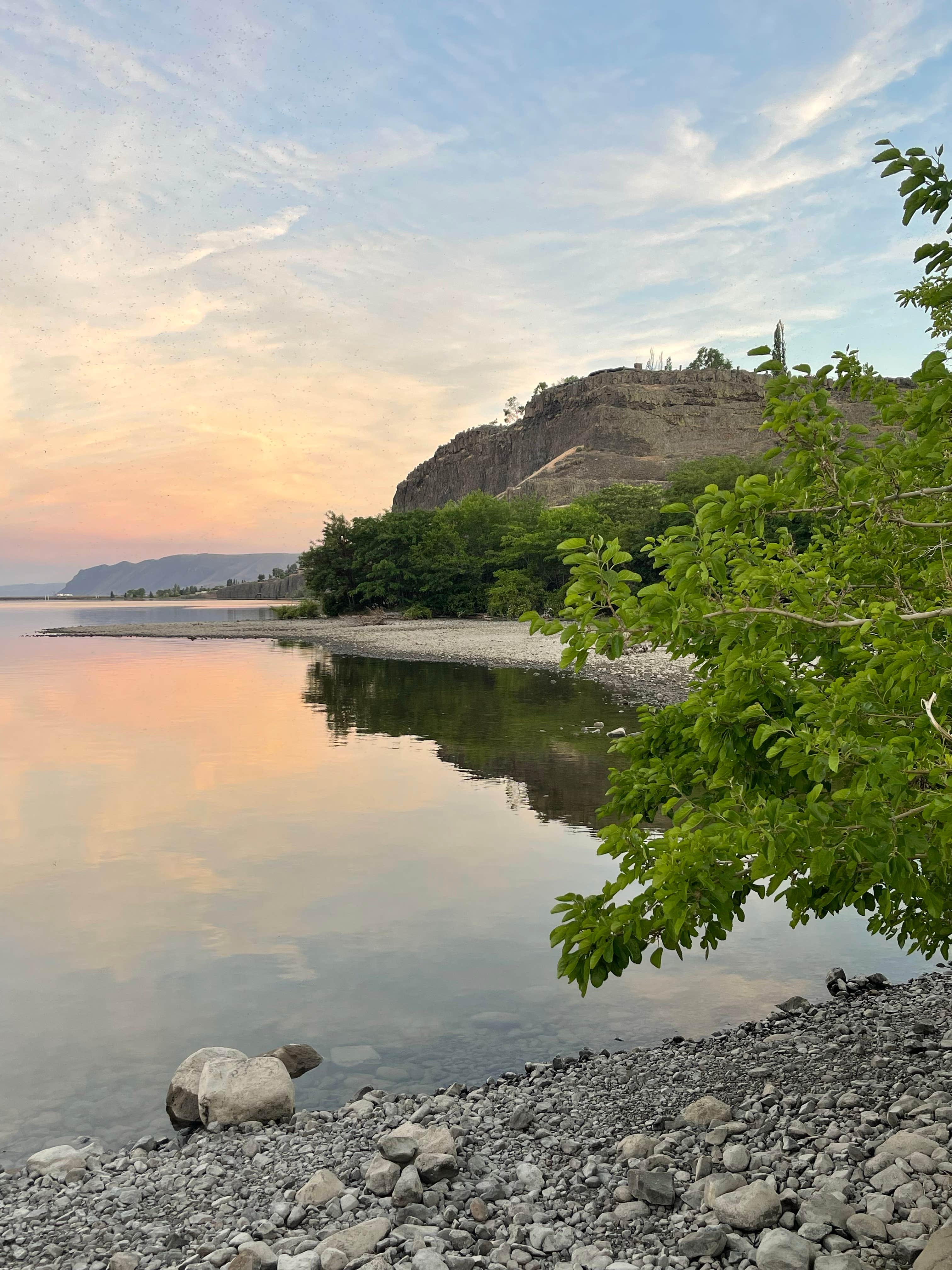 Camper submitted image from Rocky Coulee Recreation Area - 4