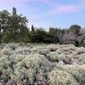 Review photo of Rocky Coulee Recreation Area by jamie C., June 7, 2023