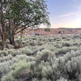 Review photo of Rocky Coulee Recreation Area by jamie C., June 7, 2023