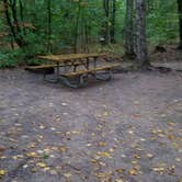 Review photo of Lafayette Place Campground — Franconia Notch State Park by Jean C., October 15, 2018