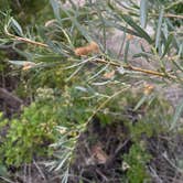 Review photo of Rocky Coulee Recreation Area by jamie C., June 7, 2023