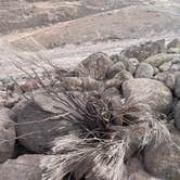 Review photo of Rocky Coulee Recreation Area by jamie C., June 7, 2023