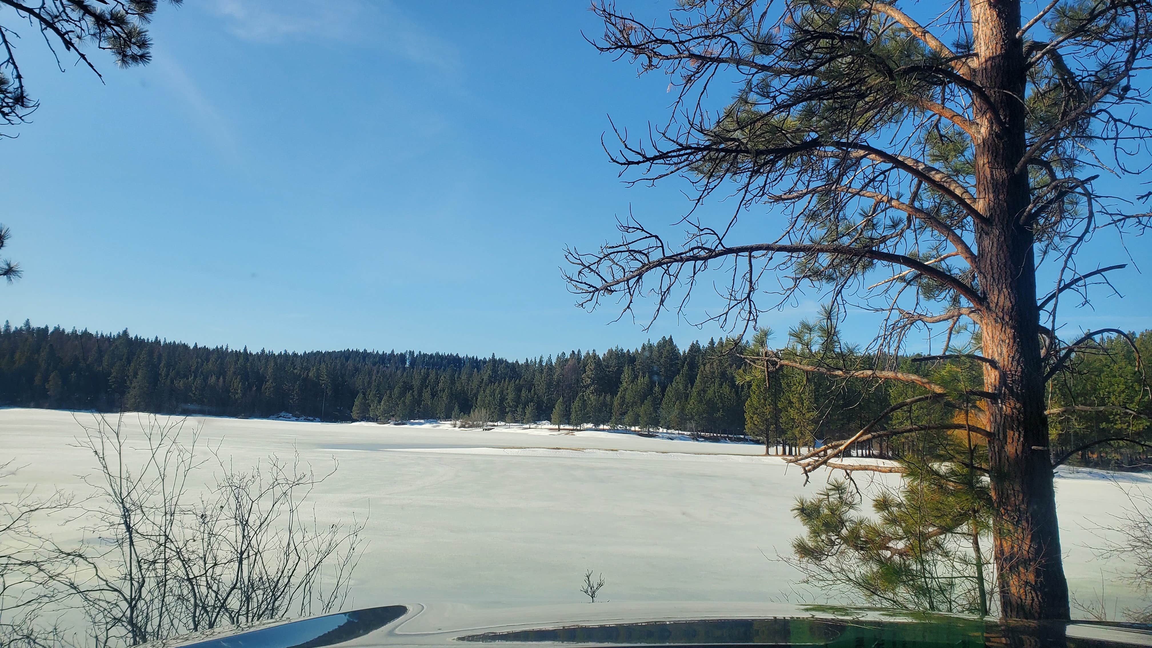 Camper-submitted photo at Winchester Lake State Park Campground near Grangeville, ID