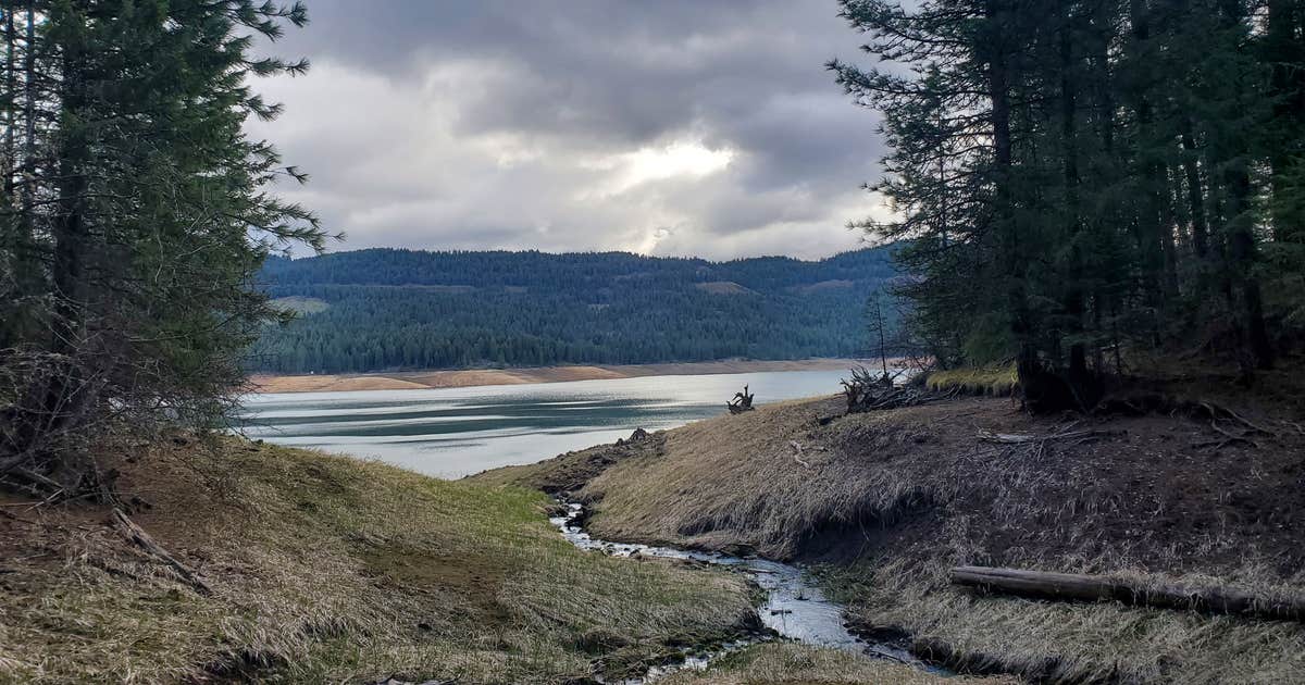 Freeman Creek Campground — Dworshak State Park