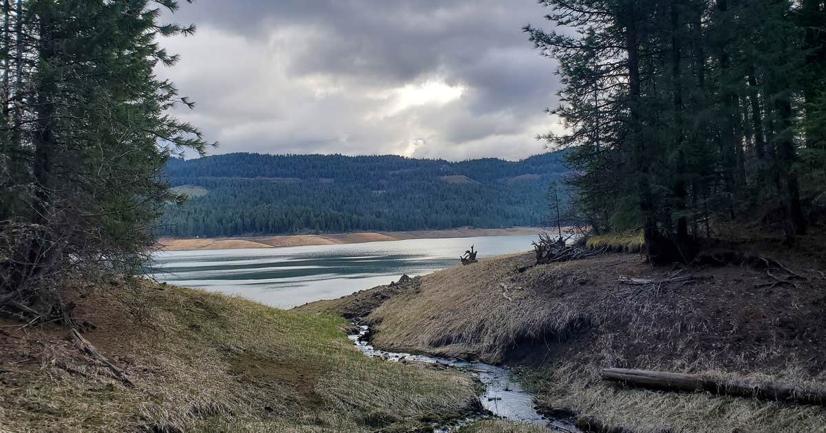 Freeman Creek Campground — Dworshak State Park