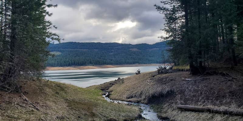 Camper submitted image from Freeman Creek Campground — Dworshak State Park