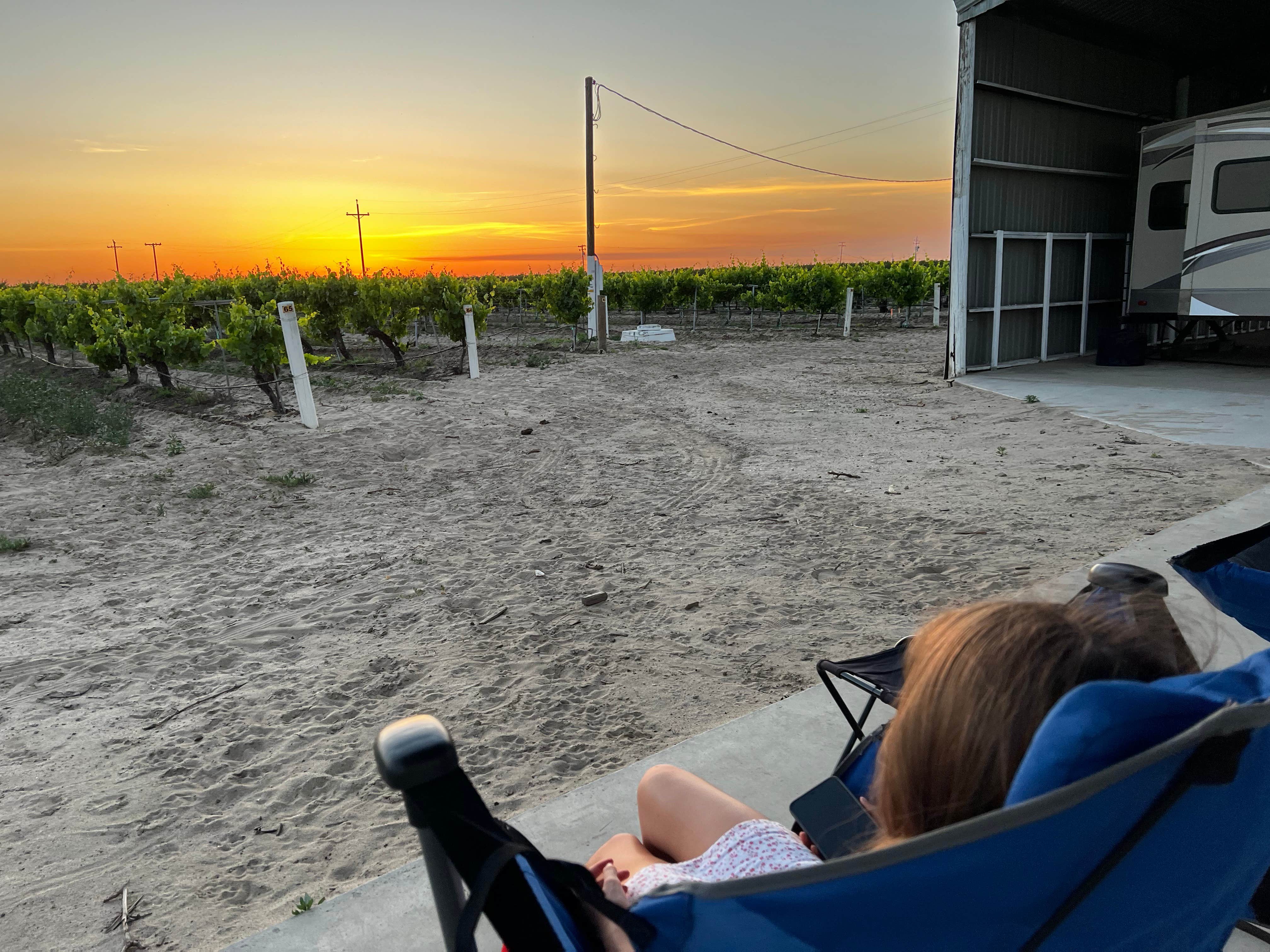 Camper-submitted photo at RandCher Vineyards near Fresno, CA