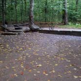 Review photo of Lafayette Place Campground — Franconia Notch State Park by Jean C., October 15, 2018