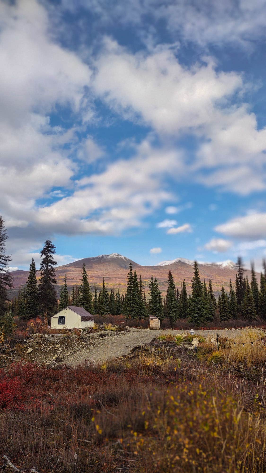 Camper-submitted photo at Wildthingz Dog Mushing near Cantwell, AK