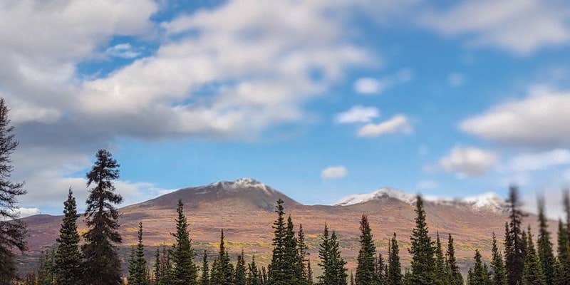 Camper submitted image from Wildthingz Dog Mushing