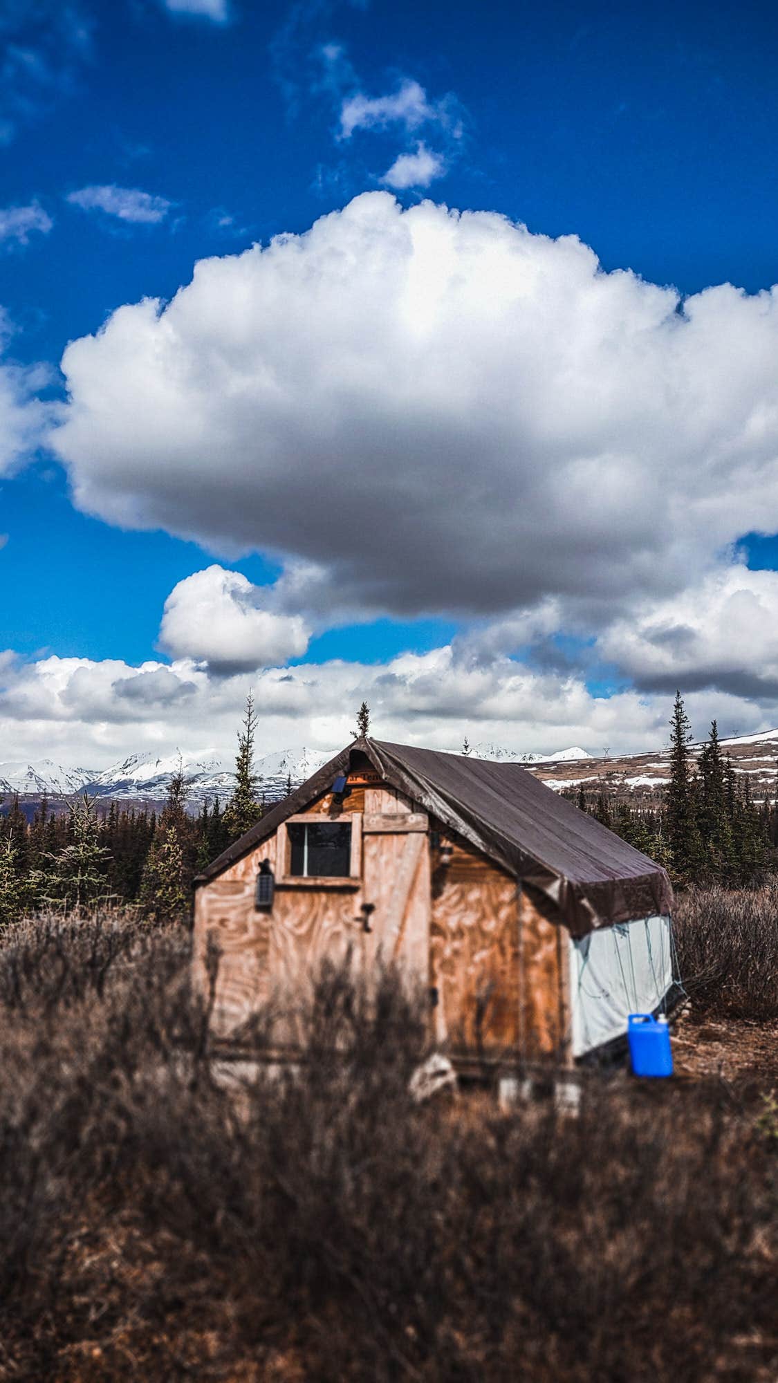 Wildthingz Dog Mushing Camping Cantwell, AK