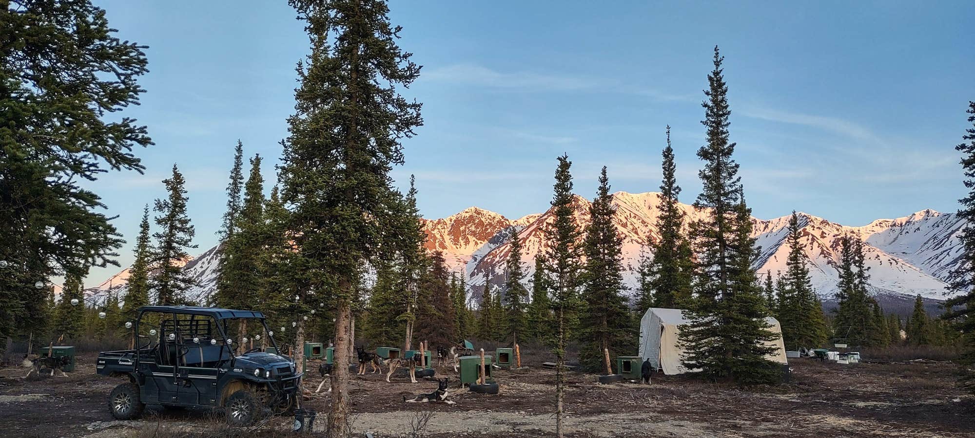 Camper-submitted photo at Wildthingz Dog Mushing near Cantwell, AK