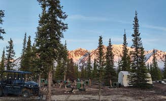 Emily R.'s photo at Wildthingz Dog Mushing near Healy, AK