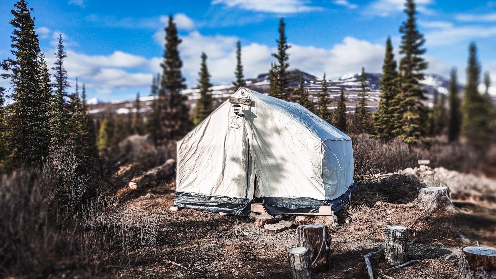 Camper-submitted photo at Wildthingz Dog Mushing near Cantwell, AK