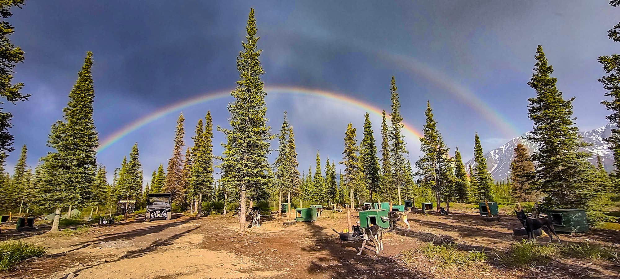 Camper-submitted photo at Wildthingz Dog Mushing near Cantwell, AK