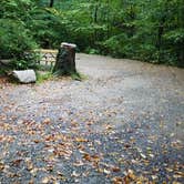 Review photo of Lafayette Place Campground — Franconia Notch State Park by Jean C., October 15, 2018