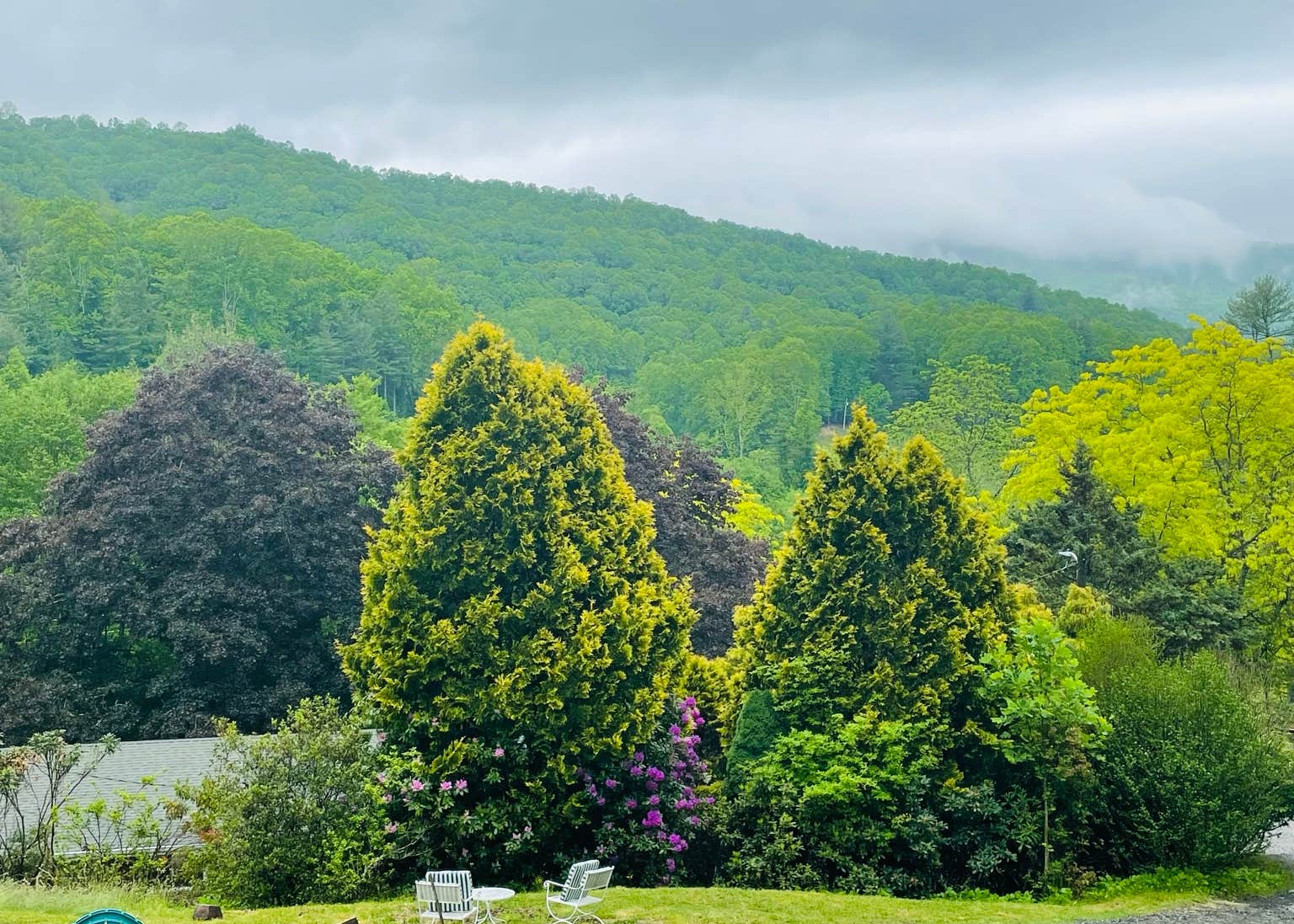 Bear Creek Mountain Campground Camping | The Dyrt