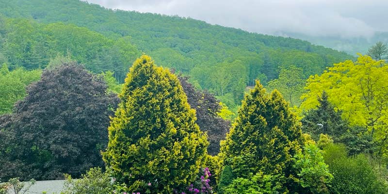 Camper submitted image from Bear Creek Mountain Campground