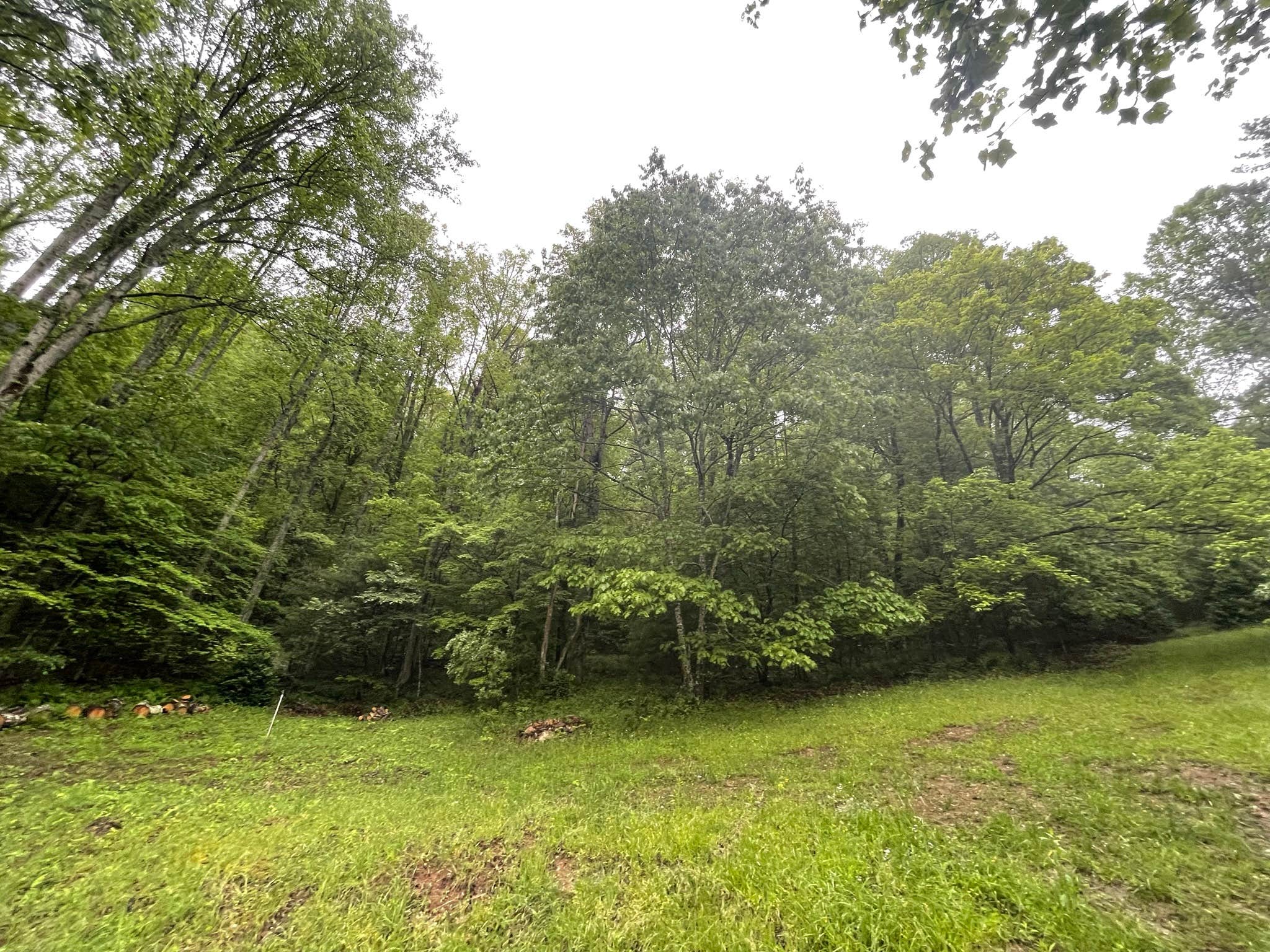 Camper-submitted photo at Bear Creek Mountain Campground near Pisgah National Forest