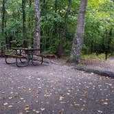 Review photo of Lafayette Place Campground — Franconia Notch State Park by Jean C., October 15, 2018