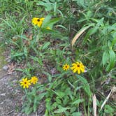 Review photo of Clear Springs Recreation Area by Tanya R., June 7, 2023