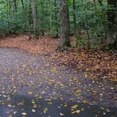 Review photo of Lafayette Place Campground — Franconia Notch State Park by Jean C., October 15, 2018