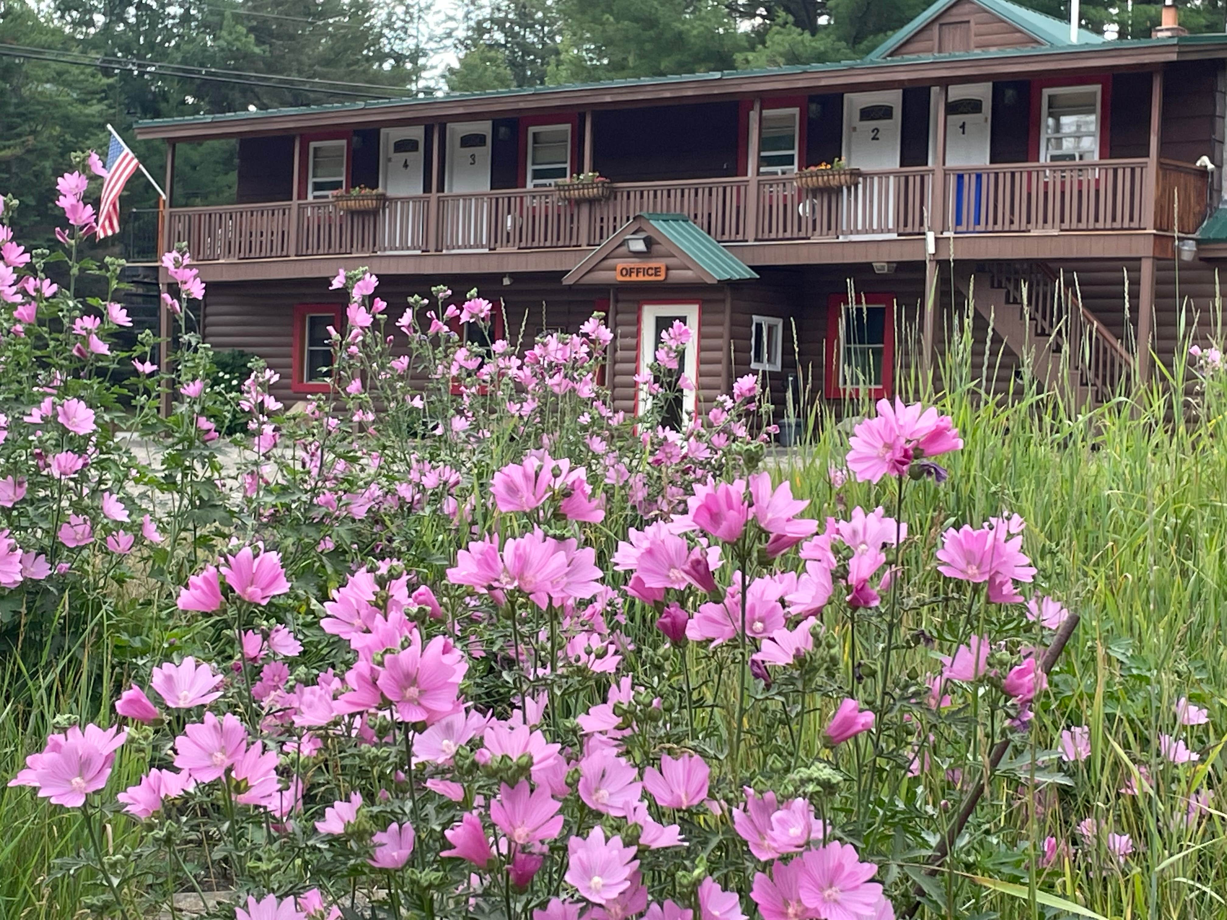 Camper-submitted photo at Mountain View Motel & Campground near Caratunk, ME