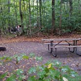 Review photo of Lafayette Place Campground — Franconia Notch State Park by Jean C., October 15, 2018