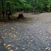 Review photo of Lafayette Place Campground — Franconia Notch State Park by Jean C., October 15, 2018