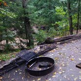 Review photo of Lafayette Place Campground — Franconia Notch State Park by Jean C., October 15, 2018