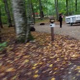 Review photo of Lafayette Place Campground — Franconia Notch State Park by Jean C., October 15, 2018