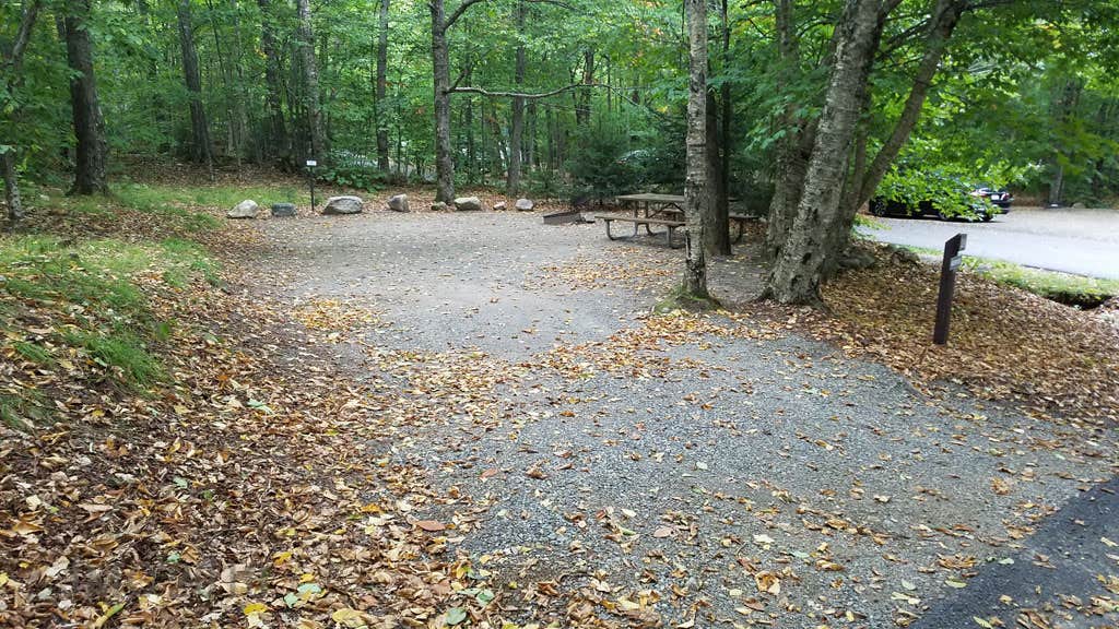 Camper-submitted photo at Lafayette Place Campground — Franconia Notch State Park in New Hampshire