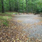 Review photo of Lafayette Place Campground — Franconia Notch State Park by Jean C., October 15, 2018