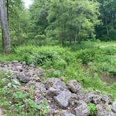 Review photo of Fountain Springs County Park by Tammie C., June 7, 2023