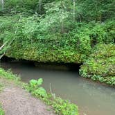 Review photo of Fountain Springs County Park by Tammie C., June 7, 2023