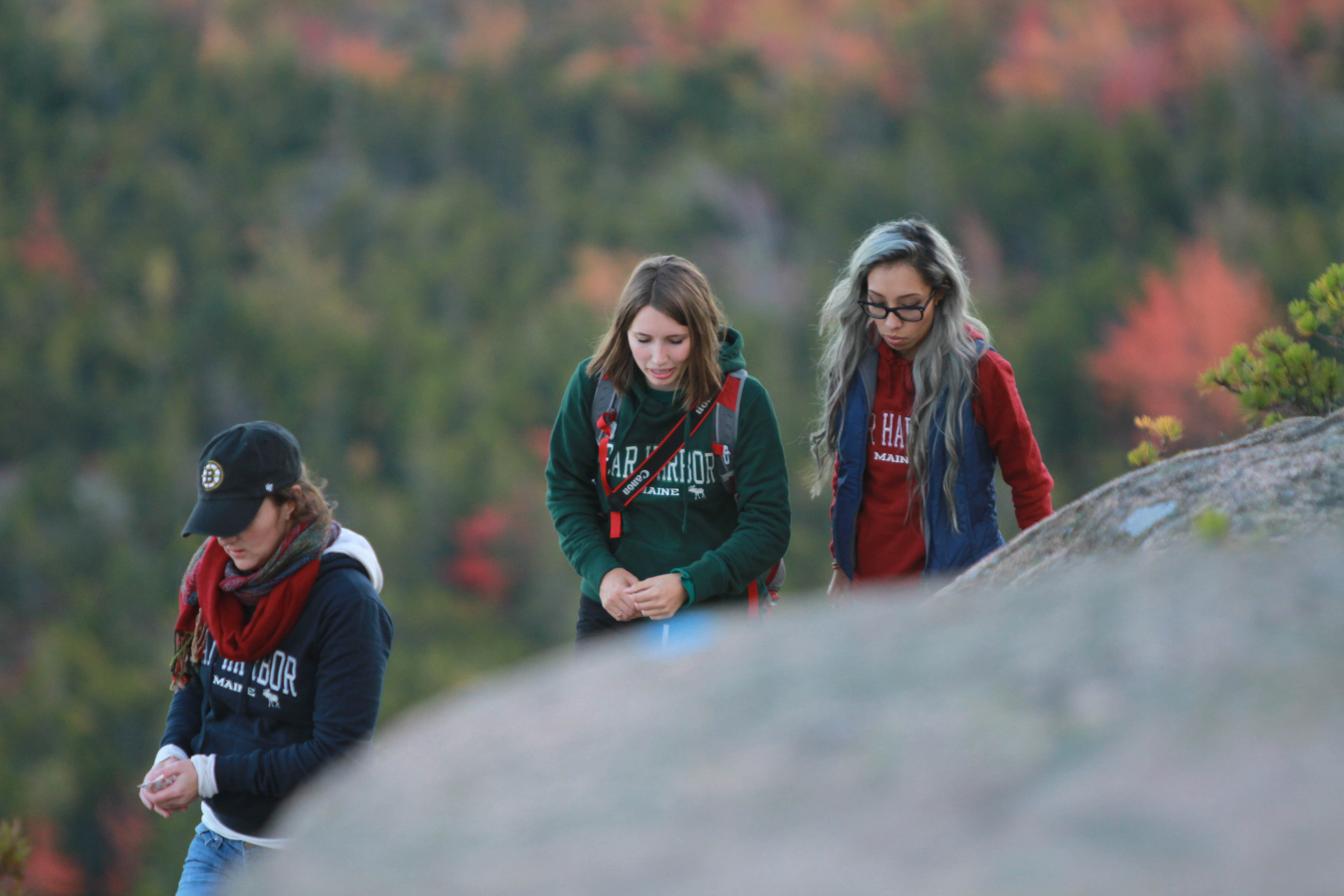 Camper-submitted photo at Blackwoods Campground — Acadia National Park near Acadia National Park