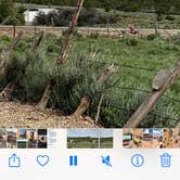 Review photo of Mountain View RV Park by Kim N., June 7, 2023