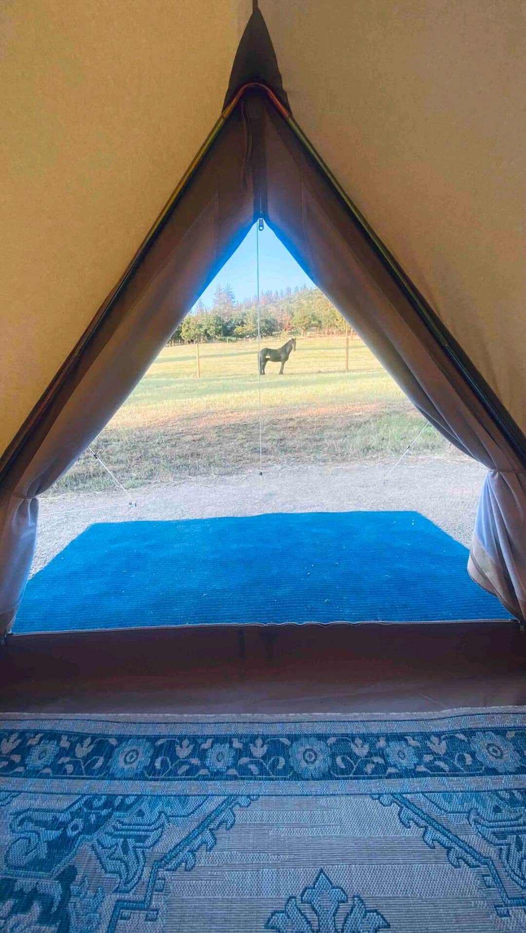 Camper-submitted photo at 777 Guest Ranch near White City, OR