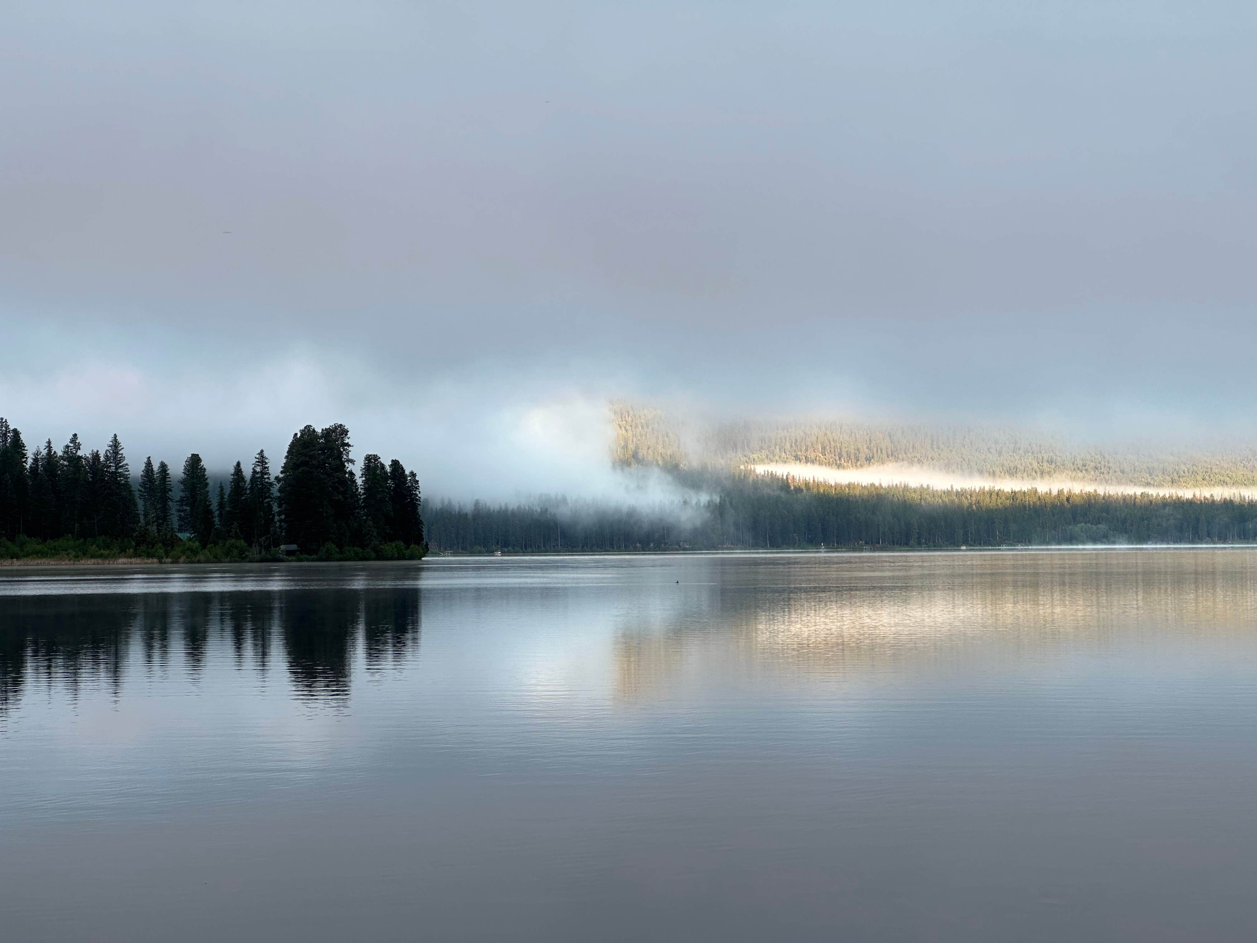 Camper-submitted photo at Placid Lake State Park Campground near Ovando, MT