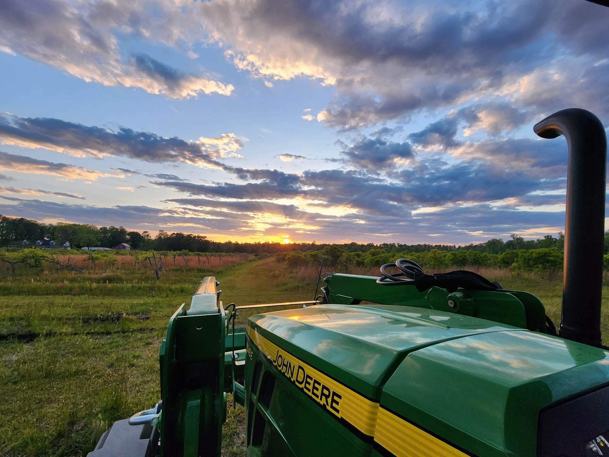 Camper-submitted photo at Phoenix Farms Vineyard near New Bern, NC