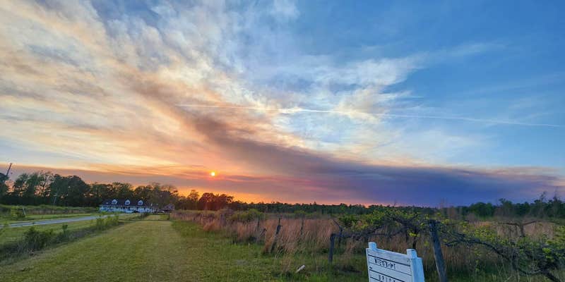 Camper submitted image from Phoenix Farms Vineyard