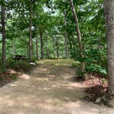 Review photo of Marthas Vineyard Family Campground by Sable Q., June 8, 2023