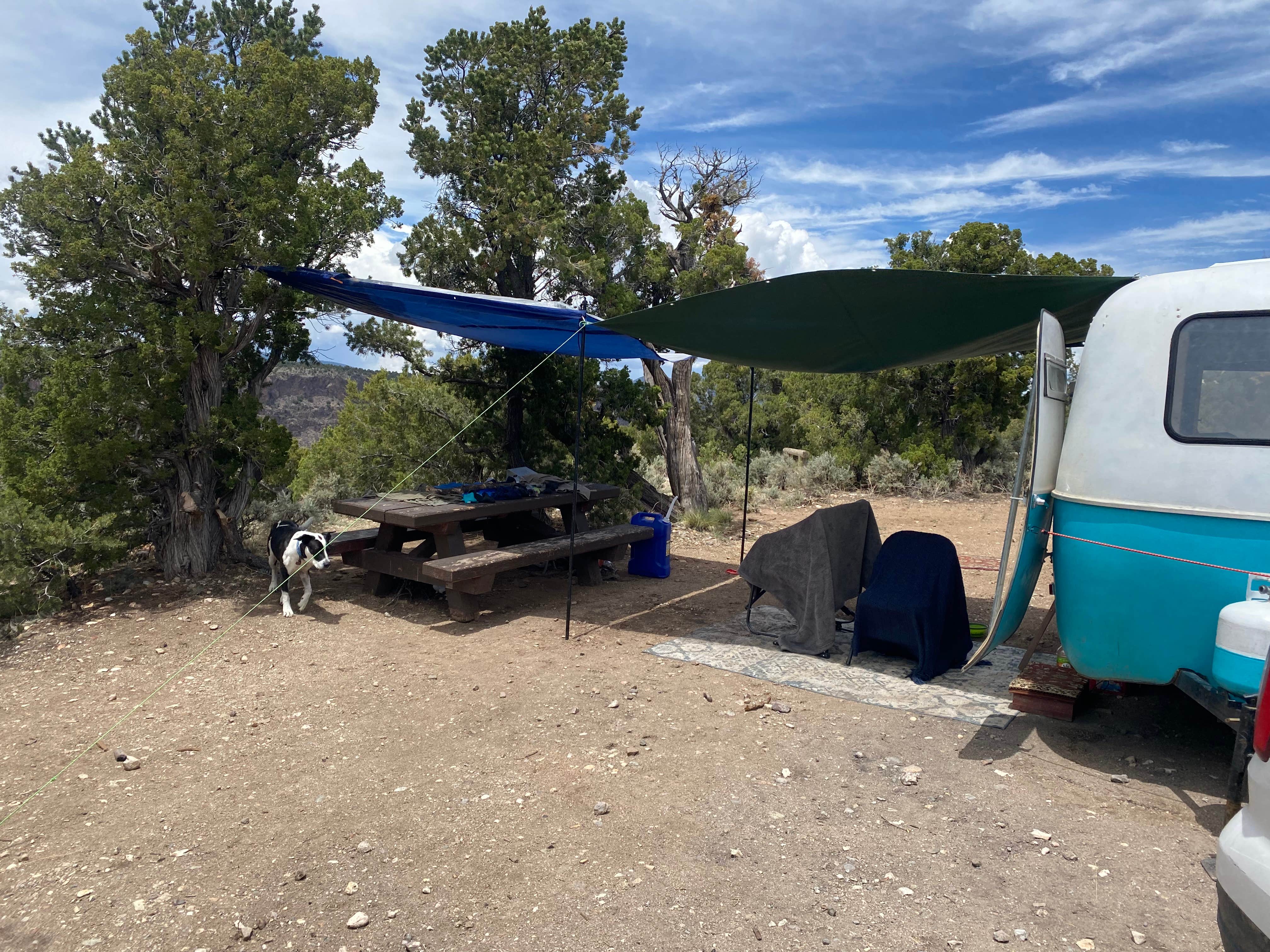 Camper submitted image from Cebolla Mesa Campground - 3