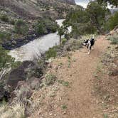 Review photo of Cebolla Mesa Campground by andrew H., June 8, 2023