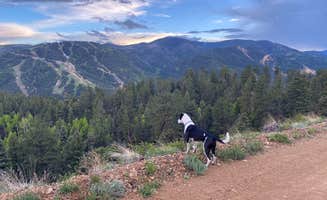 andrew H.'s photo of camping with pets at Mallette Creek North near Costilla, NM