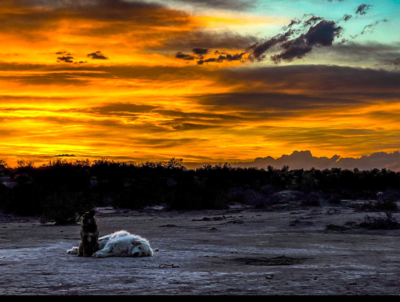 Camper-submitted photo at Rabbit Hole Ranch near Mosca, CO