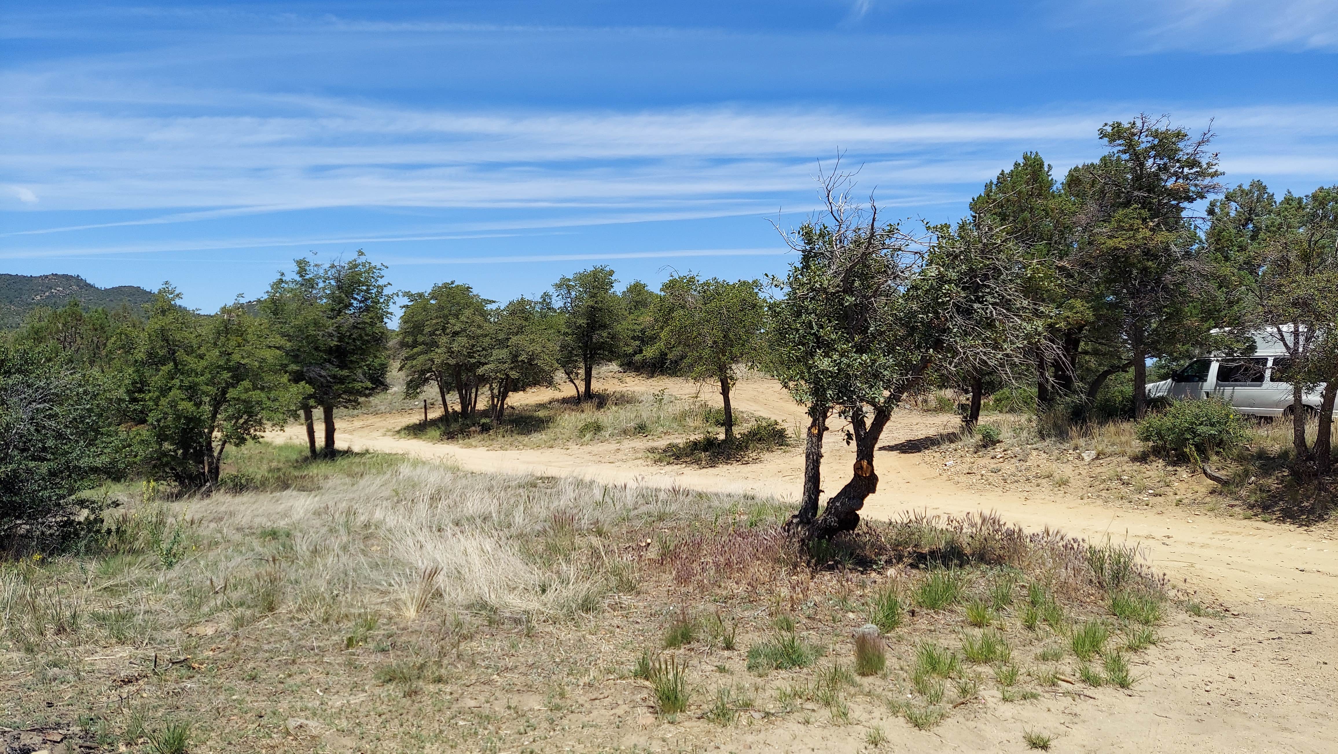 Camper-submitted photo at Ponderosa Rd Dispersed near Prescott, AZ